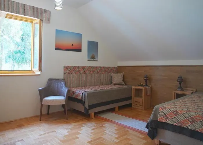 Alirét Vadászház Hotel Ságvár